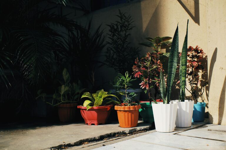 Tips for Creating an Engaging Home Garden That Thrives Year-Round